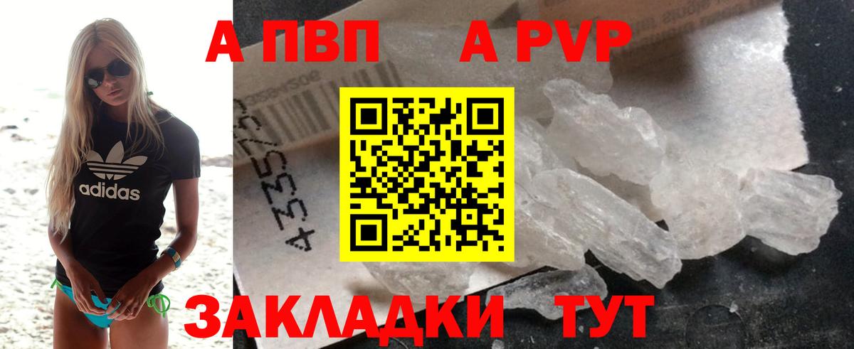 Alfa_PVP СК КРИС Бердск