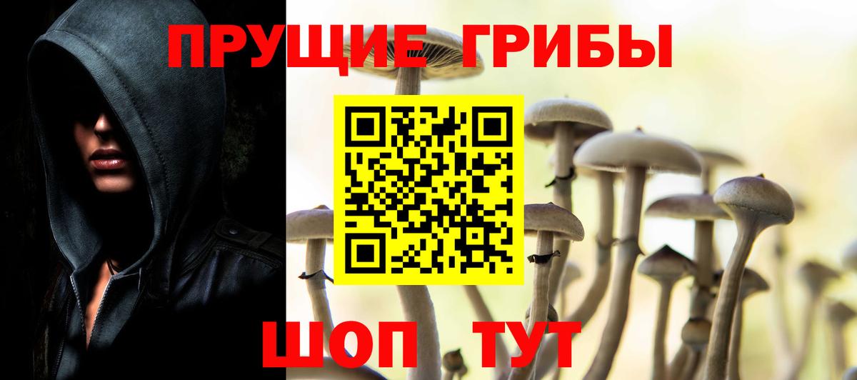 Псилоцибиновые грибы мухоморы  Вход с VPN  Бердск  Галлюциногенные грибы ЛСД 